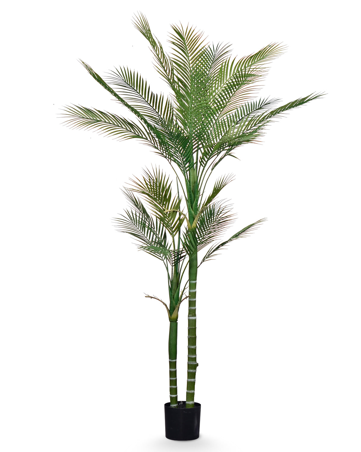 Faux Palm Tree Indoor, 6ft Artificial Areca Palm Plant with 2 Detachable Trunks & 24 Adjustable Palm Leaves, Large Tropical Fake House Palm Tree Silk Floor Plant, Nice Home Decor